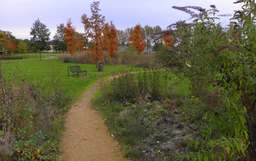 New park on the old Emma mine site (Hbm)