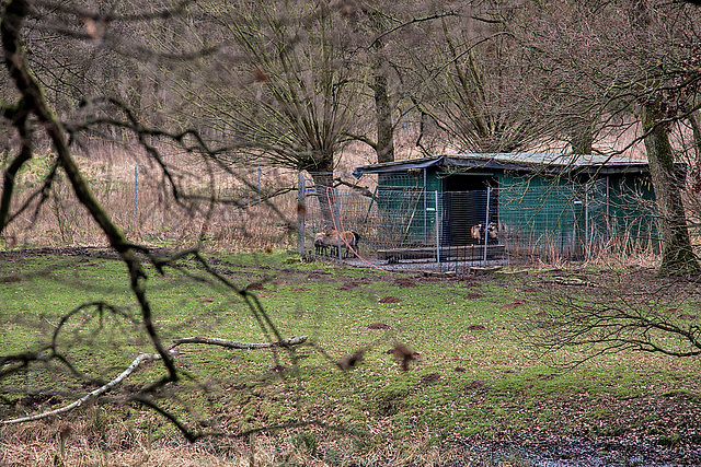 20160209 9896VRAw [D~LIP] Schaftstall, Landschaftsgarten, Bad Salzuflen