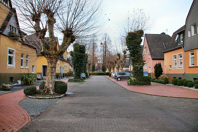 Steinstraße (Bönen-Altenbögge) / 25.11.2017