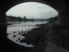 Brücken Pirna (1)