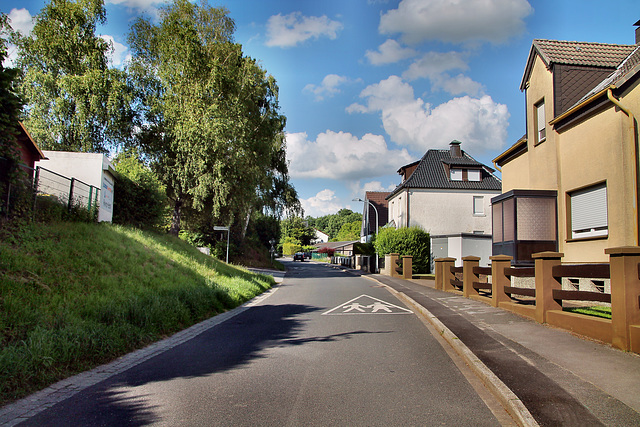 Strickherdicker Weg (Fröndenberg-Dellwig) / 11.06.2022