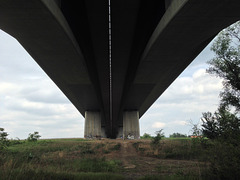 Brücken Pirna (2)