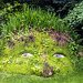 The Lost Gardens of Heligan - The Giant’s Head