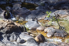 Maguk Barramundi Gorge