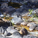 Maguk Barramundi Gorge