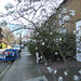 West Kensington, London
