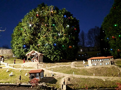 Christmas crib (4).