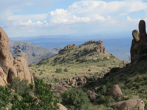 Mountain Crown