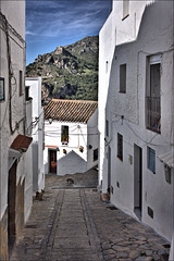 Casares