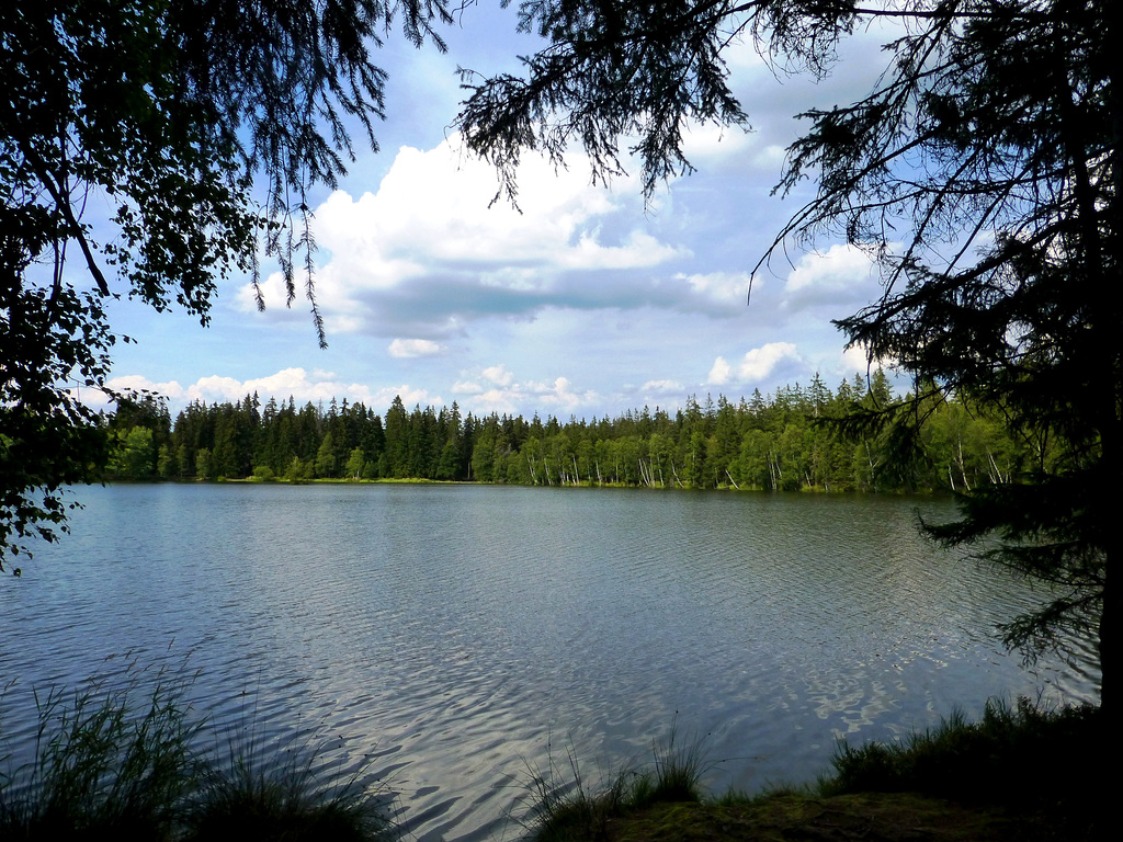 CZ - Kladska - Another hike on the nature trail