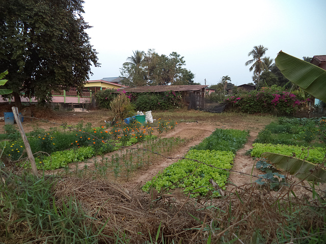 Jardins de Phaeng