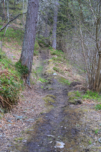 Narrow path along the clifftops edging the Dorback Gorge