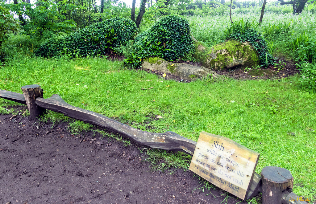 ... please do not cross this fence ... HFF! (2*PiP)