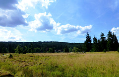 CZ - Kladska - Another hike on the nature trail