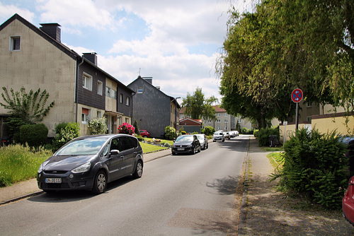Im Stückenbruch (Herne-Börnig) / 25.05.2019