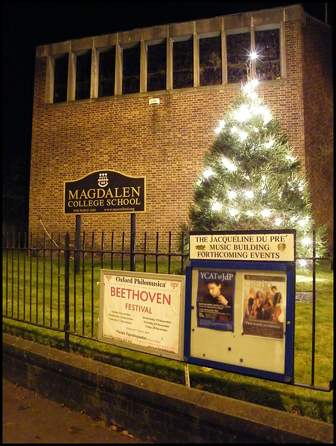 Magdalen Christmas tree