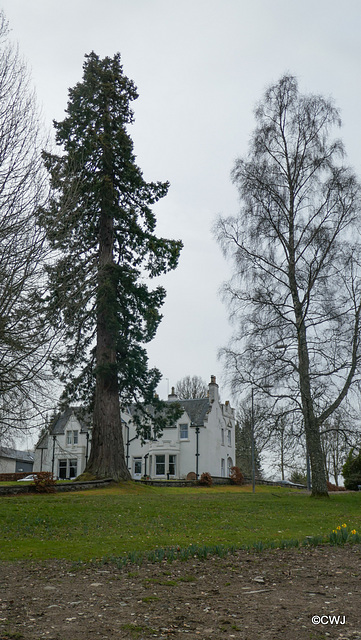 Examples of Strathpeffer's quirky Victorian architecture