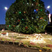 Christmas crib (5).