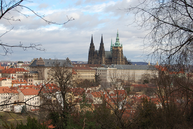 Prague Castle and the Cathedral  of St Vitus from the Park by Strahov Monastry, Prague