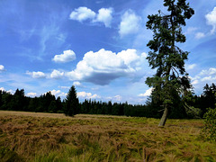 CZ - Kladska - Another hike on the nature trail