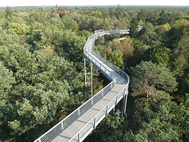 Baumwipfelpfad in Beelitz-Heilstätten