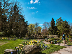 Frühling im Botanischen Garten Erlangen