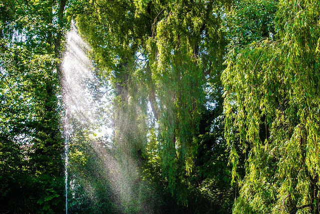 Fountain