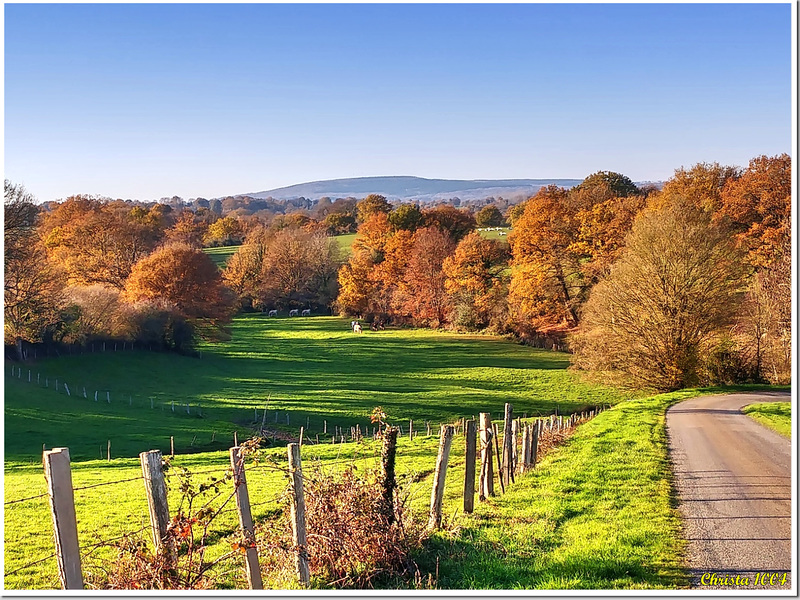 The color palette of late autumn - HFF