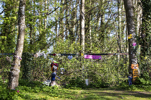 Dumbarton Fairy Trail