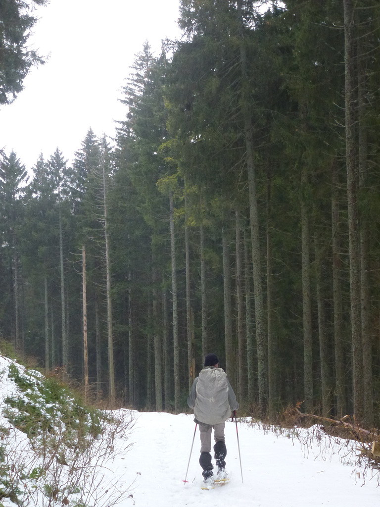 20150101 -03 Raquettes Vercors (121) al