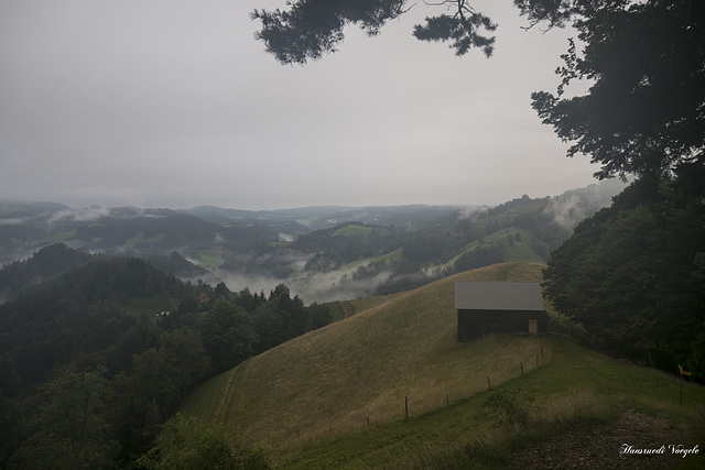 Nebelschlier ziehen durchs Land