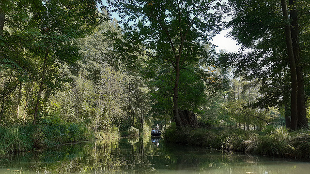 Spreewald