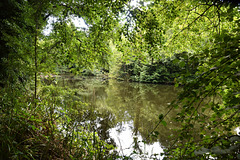 Brockhill Country Park