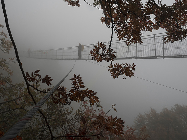 #5 - brunosma - Ponte tibetano, avvolto nella nebbia -7̊ 6points