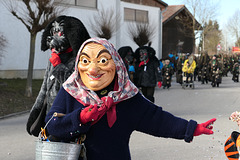 Altastadtr Faschingsomzug 2019