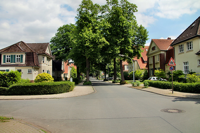 Schadeburgstraße (Herne-Börnig) / 25.05.2019