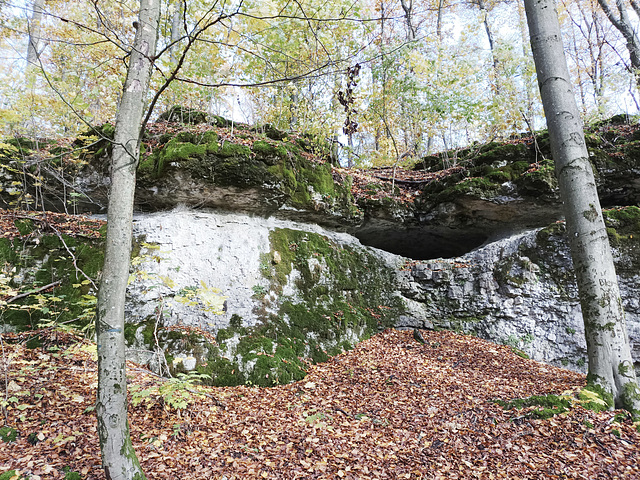 Fränkischer Jakobsweg: Gräfenberg - Kalchreuth