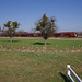 BÖ0036794