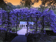 Colors at Nine a clock Colors at Nine a clock