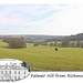 Falmer Hill from Richmond Hill in Stanmer Park - 1.4.2016