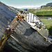 Leaning over in Seaton Sluice