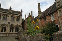 Vicar's Close