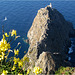 Faro la Guardia, Isola di Ponza