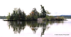 L'île du diable Roxton Pond