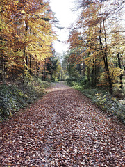 Fränkischer Jakobsweg: Gräfenberg - Kalchreuth