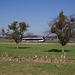 BÖ0036795