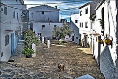 Casares