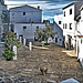 Casares