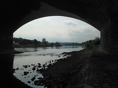 Brücken Pirna (10)