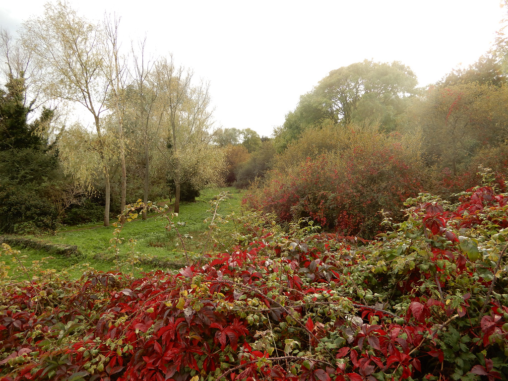 délices d'automne